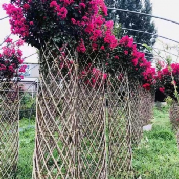 树艺编织美国紫薇花柱 造型骨架 花瓶骨架 制作工艺品