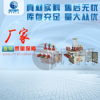 长期供应ZW10-11-12G户外智能高压双电源切换装置厂家