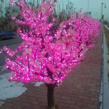 户外照明灯LED太阳能路灯