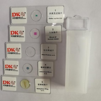 河南大科5片动植物生物切片套装生物教学显微镜配件