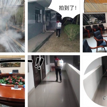 深圳专业除臭虫、宿舍灭臭虫、工厂杀除臭虫、家庭除臭虫