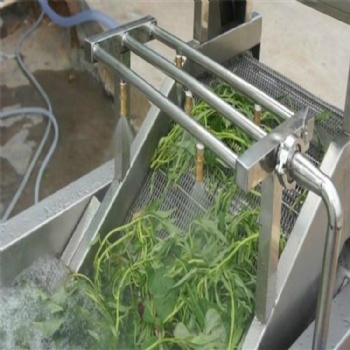 厂家全自动生菜气泡清洗机 俞洋机械