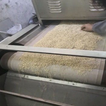 陕西氧化锆微波烘干机