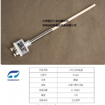 小T头式热电偶K型Thermoway