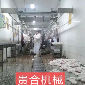 肉兔自动屠宰流水线 家兔宰杀设备视频 兔子自动宰杀生产线定制