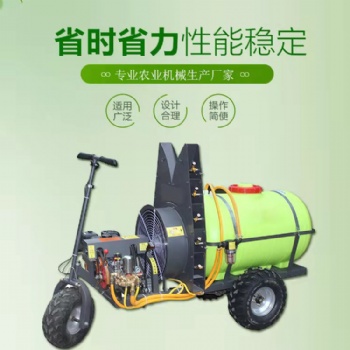 山东高压喷雾打药机厂家 果园推送式打药机