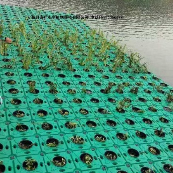 人工浮岛厂家 提供组装技术 现场组装