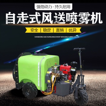 高压打药机 手推式打药机 自走式打药机