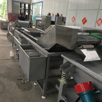 果蔬辣菜清洗流水线 蔬菜菌类连续式清洗机 厂家定制