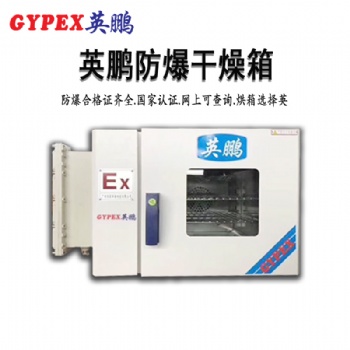 防爆恒温鼓风干燥箱-D系列-石油