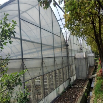 连栋薄膜温室 薄膜温室造价 温室施工 温室大棚