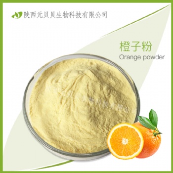 鲜橙汁粉 SC源头厂家现货供应水溶免费拿样 橙子粉 甜橙粉 橙粉