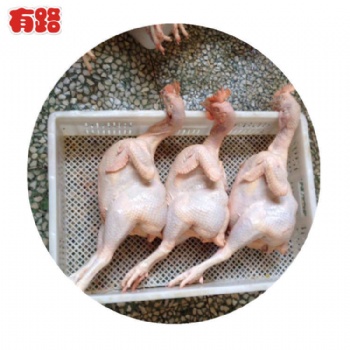 冷冻生鲜鸡产品白条鸡 蛋鸡老母鸡批发，种鸡老母鸡厂家 山东有路食品长期供应