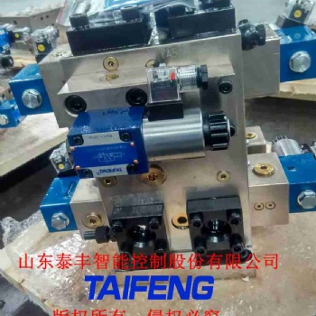 山东泰丰液压厂家YN32-1250BXCV二通插装阀