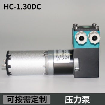 美创力喷码机微型齿轮压力泵