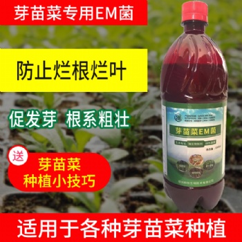 绿豆芽减少坏芽的浸种方法