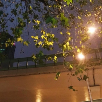 上海虹口区做账报税公司做账税务申报