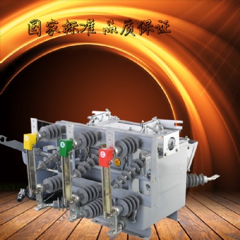10Kv户外高压开关 柱上分界开关 户外高压断路器 厂家