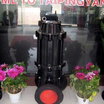 供应大流量潜水污水排污泵75KW WQ 污泥泥厂工地无堵塞电压潜水式污水排污泵
