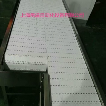 上海帛溢喷淋杀菌线塑料网带输送链