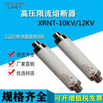 高压限流熔断器XRNT-12KV**680A100A变压器?；び萌酃艹Ъ? width=
