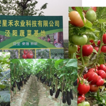 有蔬菜基地的蔬菜配送服务公司