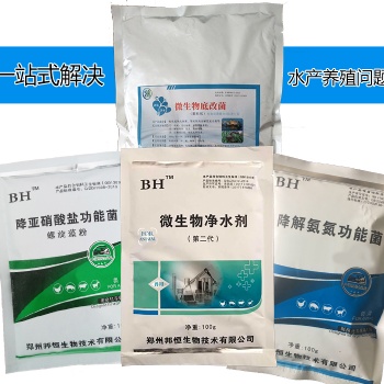 怎么提高鱼苗的成活率