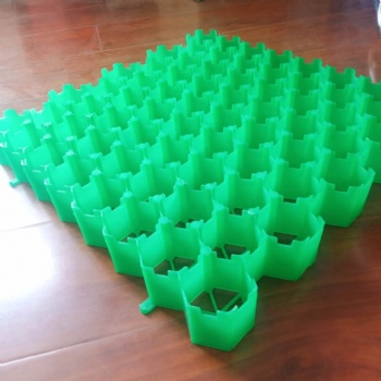 山东双利停车场绿化植草格