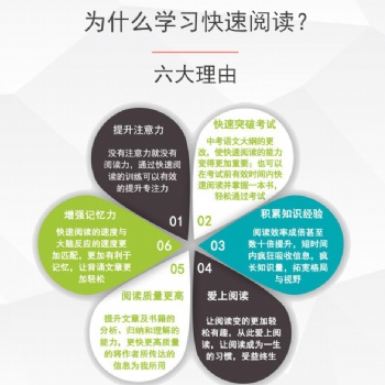 全脑潜能开发人脑优质区域