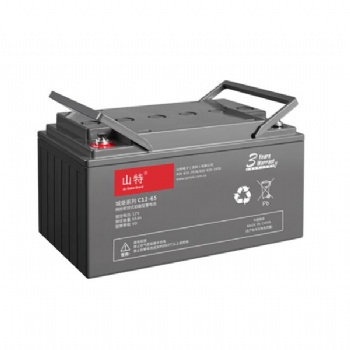 山特城堡系列蓄电池C12-65山特12V6**HUPS不间断蓄电池