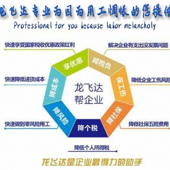 薪税改革后薪税筹划狮税务筹划合法节税一体化全套服务