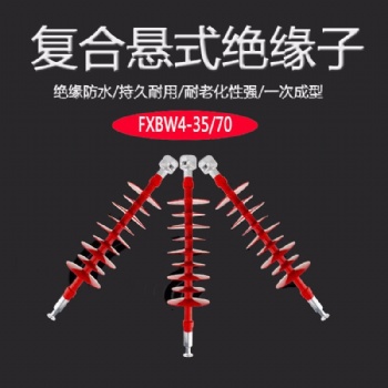 电力绝缘子 绝缘子串 复合硅胶绝缘子 FXBW-10/100 宏康电力 生产厂家