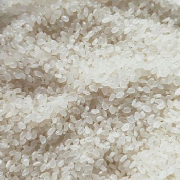 收购大量优质玉米、大米