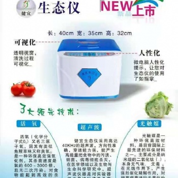 多功能生态仪（食物解毒机）厂家