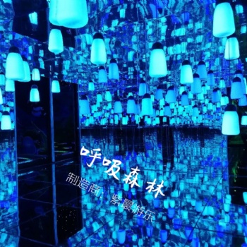紫晨游乐呼吸森林设备齐全