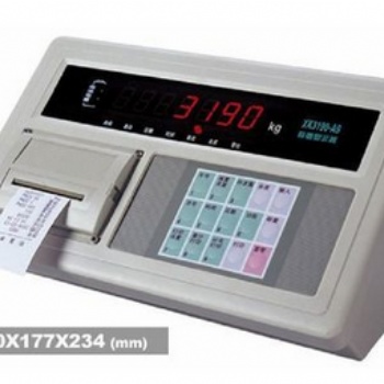 耀华XK3190 A9+p打印仪表