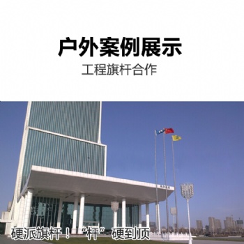 阜南县电动旗杆厂家|学校旗杆|旗杆维修