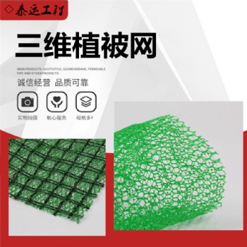 三维植被网厂家护坡绿化三维植被网em3耐腐蚀护坡三维网