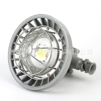 源DGS24/127L矿用LED巷道灯，隔爆型巷道灯价格