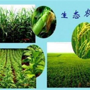 郑州现代农业生态工程乙级资质办理条件