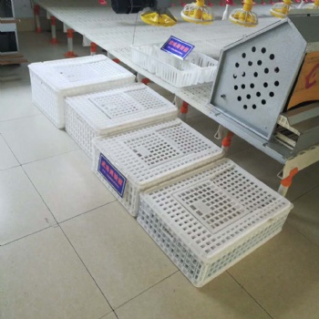 拉鸡运输笼 塑料鸡笼价格 运鸡笼厂家