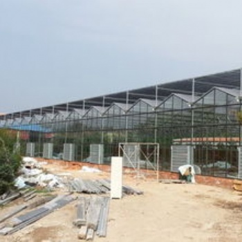 建造连栋大棚时选择正确位置非常重要