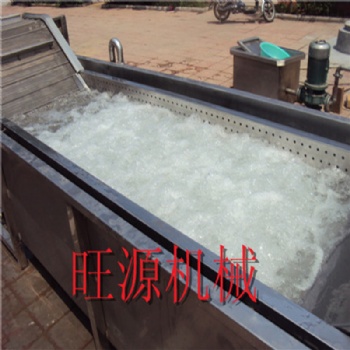 多功能海参清洗 小龙虾气泡清洗设备 海鲜清洗机蛤蜊清洗设备