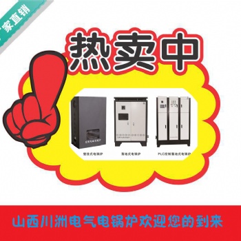 内蒙cz电锅炉厂家/电取暖锅炉