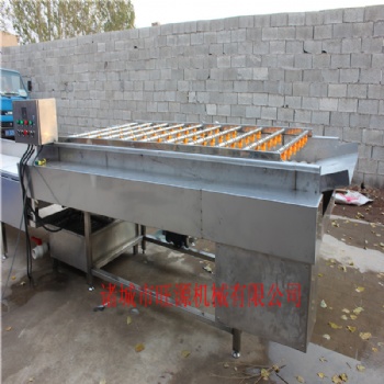 小龙虾清洗机 大型商用蔬菜清洗机 果蔬清洗机纯不锈钢制作