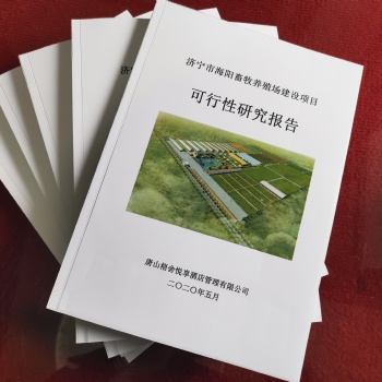 专业代写可行性研究报告、稳定风险评估、商业计划书