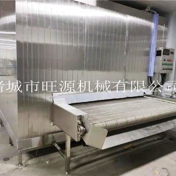 速冻机 全自动大型速冻设备 网带式果蔬速冻机机器