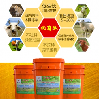 牛粪便有料渣长期拉稀