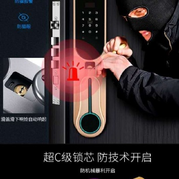 济南陆信 罗斯盾 太空三号指纹锁