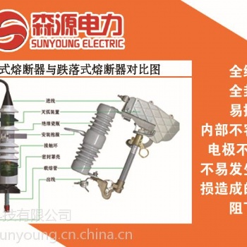 厂家直供 江西森源PRW-12户外喷射式全绝缘熔断器